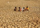 5 Fakta yang Perlu Diketahui, BRIN Prediksi “Godzilla El Nino” Akan Datang di 2026