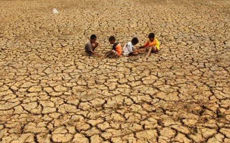 5 Fakta yang Perlu Diketahui, BRIN Prediksi “Godzilla El Nino” Akan Datang di 2026