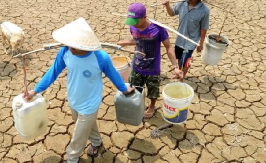 Potensi kebakaran hutan dan lahan semakin tinggi
